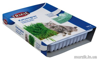 Трава для кошек или грызунов 100 г пакет (в контейнере) 8908870 фото
