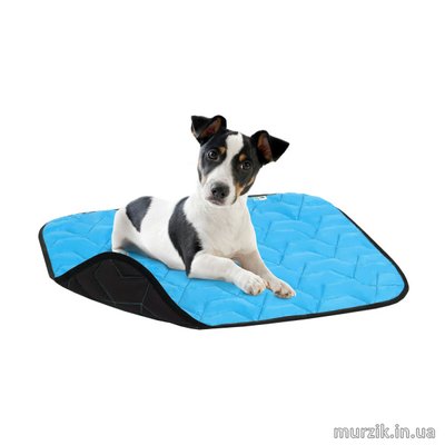 Подстилка для для собак AiryVest, размер M, 80х55 см, голубо-черная 42076542 фото