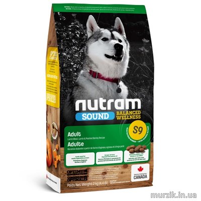 Сухой корм холистик класса для собак Nutram Sound Balanced Wellness Lamb & Rise c ягненком 2 кг. 8564066 фото