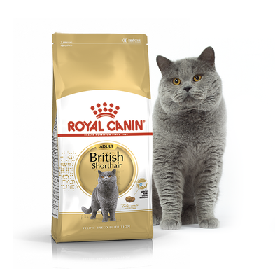 Royal Canin (Роял Канин) сухой корм для кошек и котов British Shorthair 0,4 кг. RC 2557004 фото
