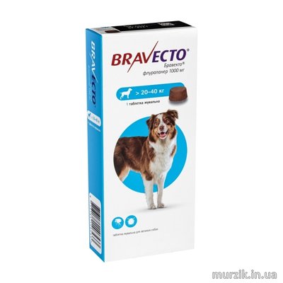 Таблетка от блох и клещей Bravecto (Бравекто) для собак весом от 20 до 40 кг. 5350179 фото