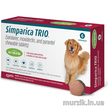 Simparica TRIO (Симпарика ТРИО) таблетки от блох, клещей и гельминтов для собак 20 - 40 кг. (1 табл.) 42418225 фото